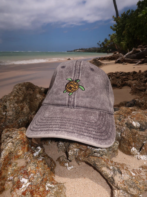 vintage turtle cap